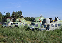 Photo&nbsp;ID:&nbsp;5372