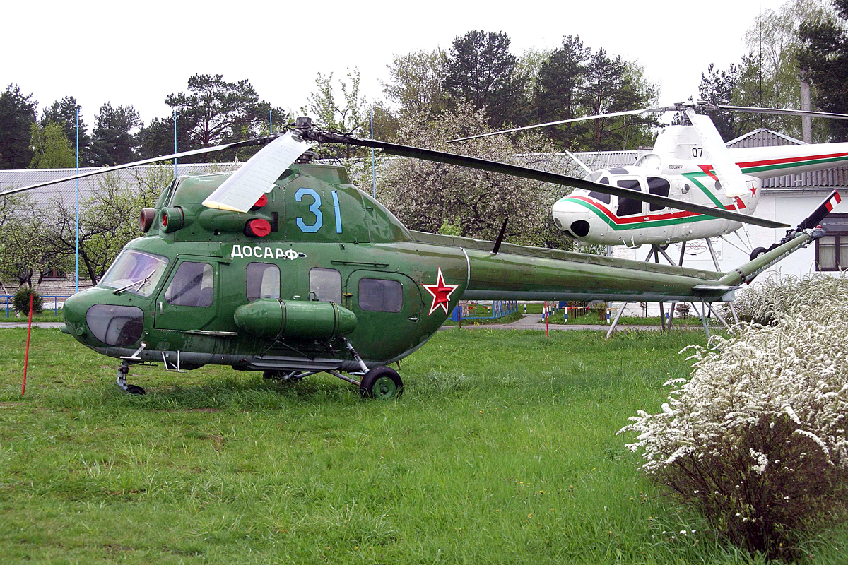 PZL Mi-2   31 blue