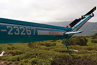 Photo&nbsp;ID:&nbsp;7791