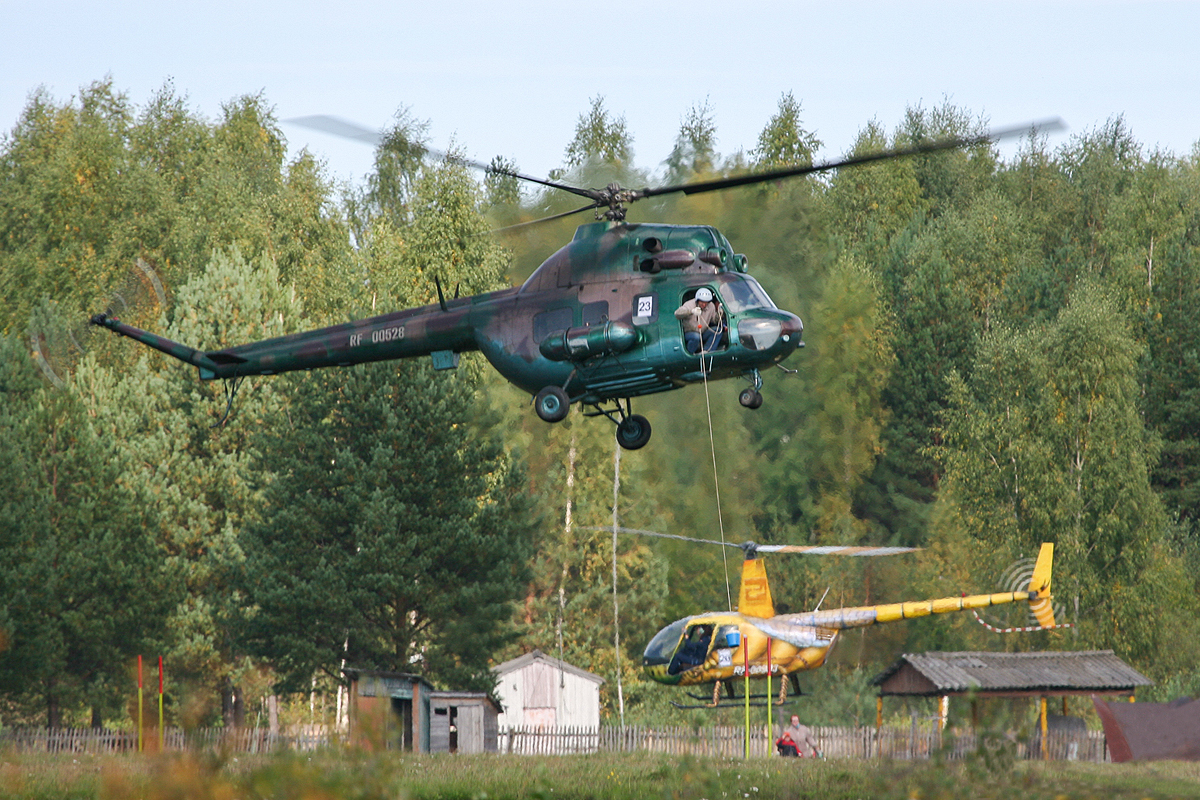 PZL Mi-2   RF-00528