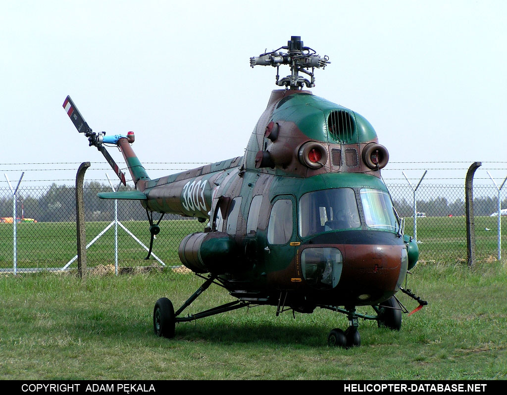 PZL Mi-2D   3803
