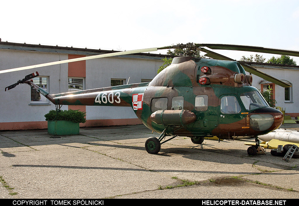 PZL Mi-2T   4603