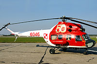 6046,Mi-2T