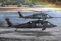 Photo&nbsp;ID:&nbsp;27082