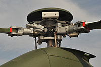 Photo&nbsp;ID:&nbsp;8242