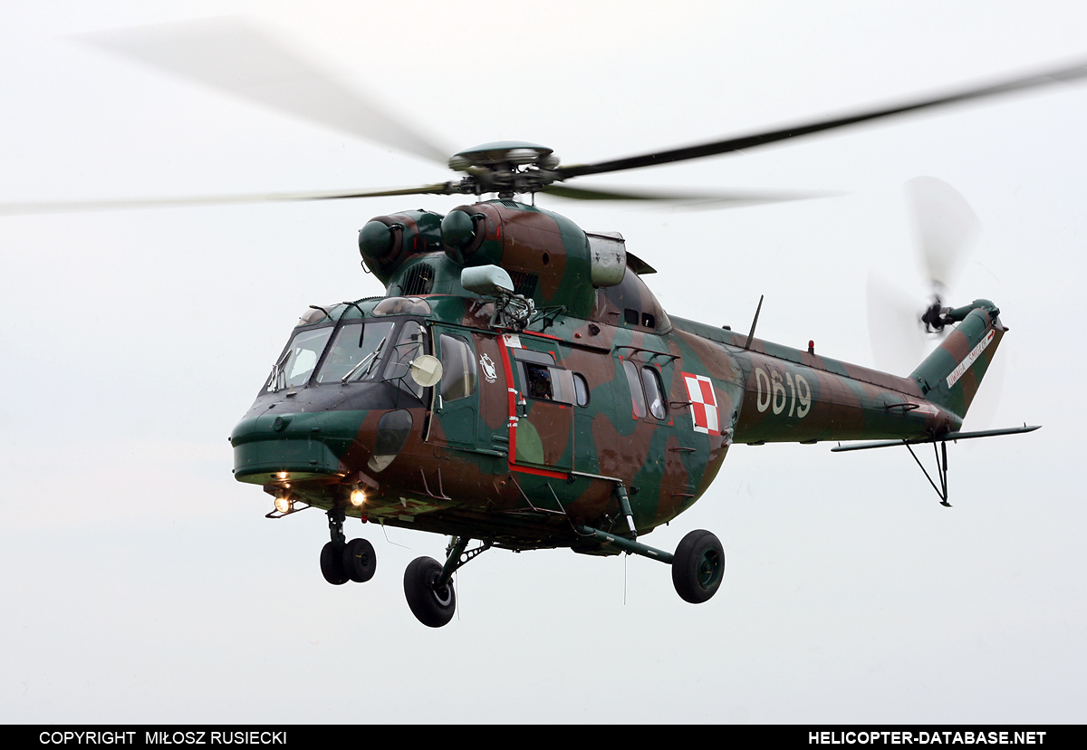 PZL W-3A P   0619