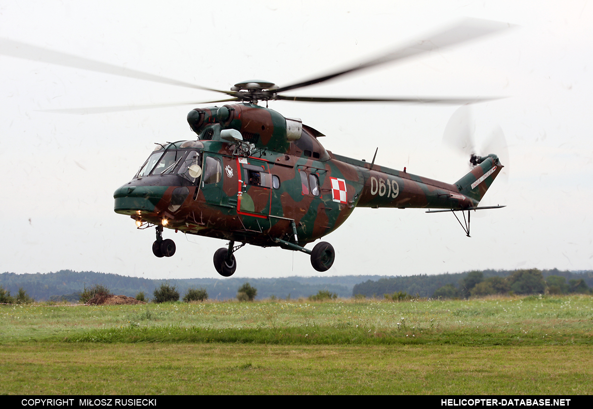 PZL W-3A P   0619