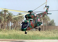 Photo&nbsp;ID:&nbsp;249