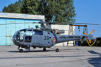 Photo&nbsp;ID:&nbsp;19482