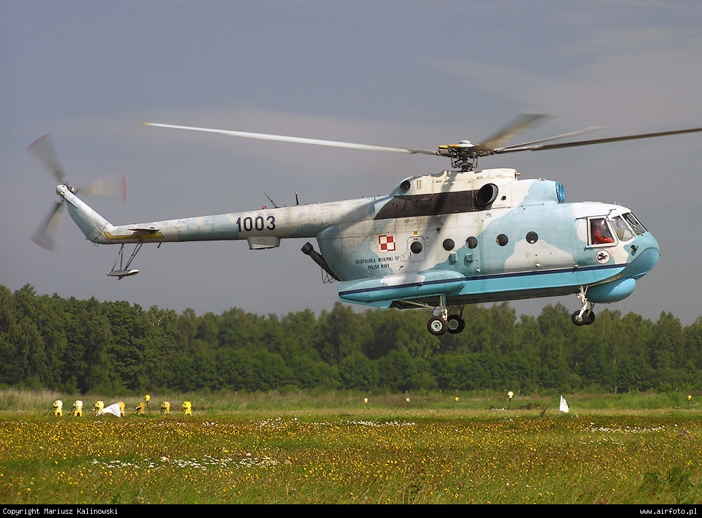 Mi-14PL   1003