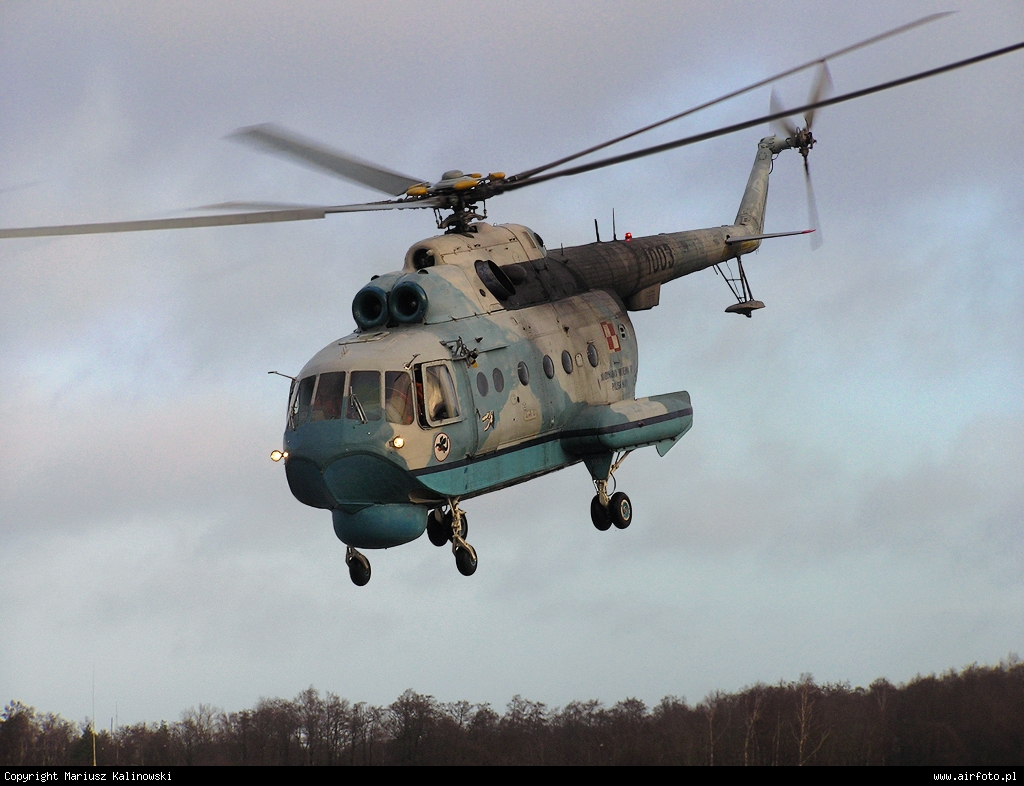 Mi-14PL   1003