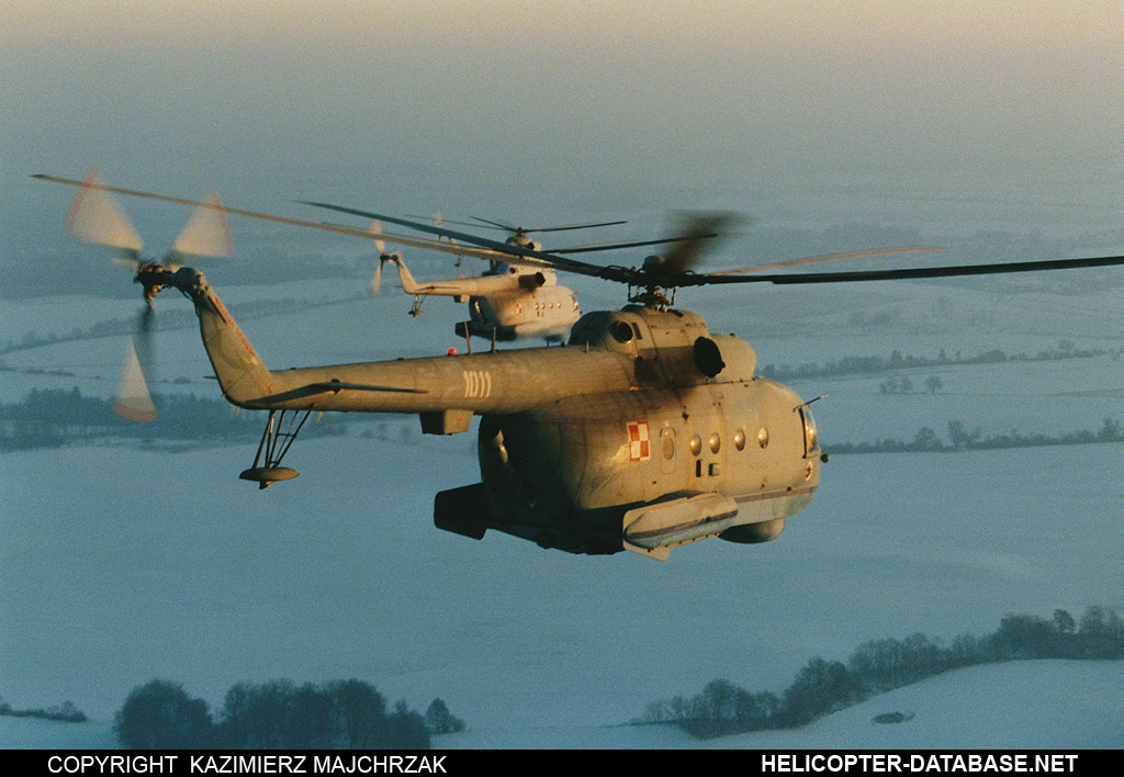 Mi-14PL   1011