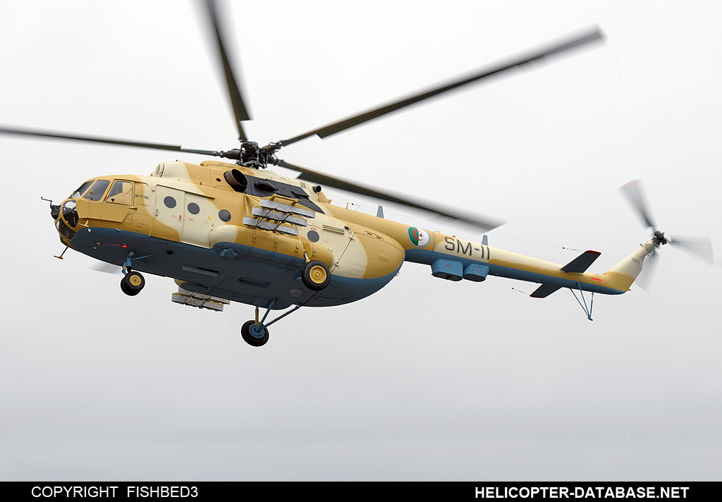 Mi-171Sh   SM-11