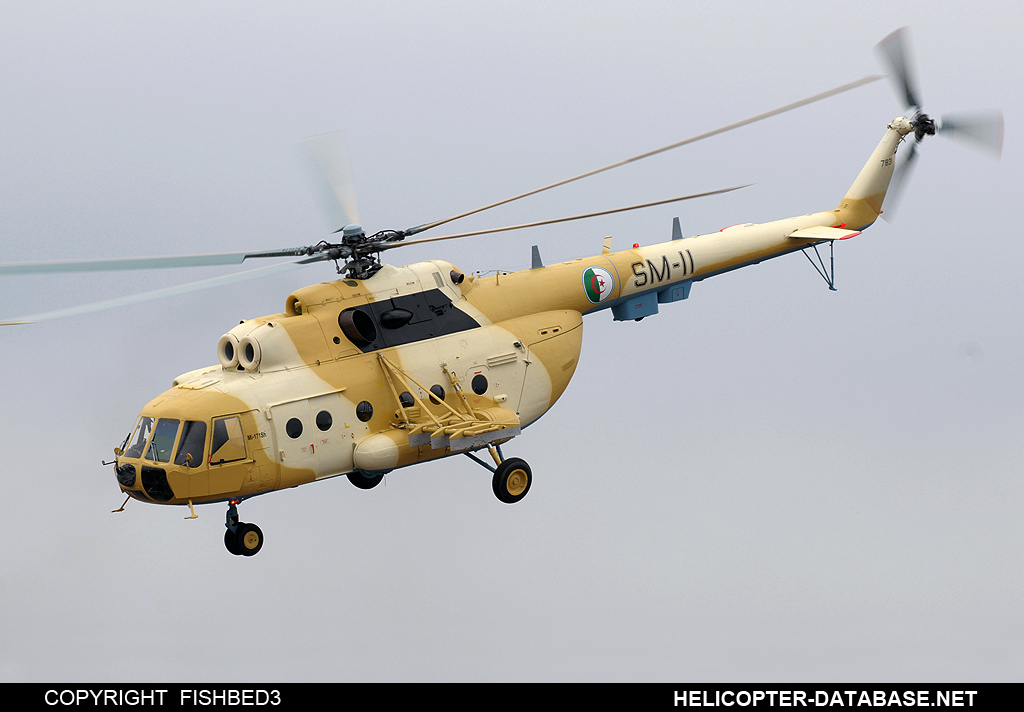 Mi-171Sh   SM-11