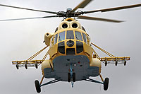 Photo&nbsp;ID:&nbsp;11288