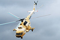 Photo&nbsp;ID:&nbsp;11284