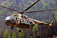 Photo&nbsp;ID:&nbsp;12915