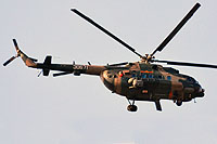 Photo&nbsp;ID:&nbsp;13184