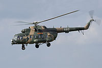 Photo&nbsp;ID:&nbsp;13810