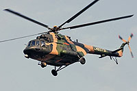 Photo&nbsp;ID:&nbsp;17739