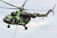 Photo&nbsp;ID:&nbsp;27272