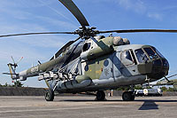 9873,Mi-171Sh