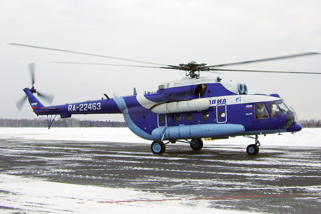 Mi-171C   RA-22463