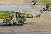 Photo&nbsp;ID:&nbsp;27229