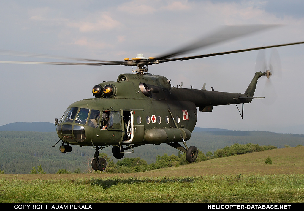 Mi-17AE (upgrade by WZL-1)   607