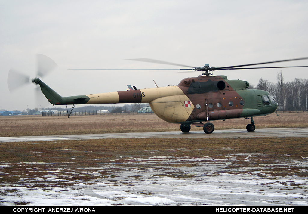 Mi-8MTV-1   6103