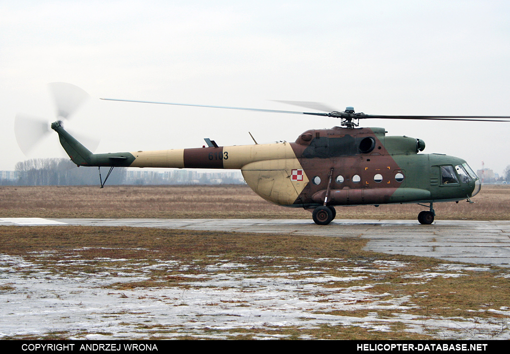 Mi-8MTV-1   6103