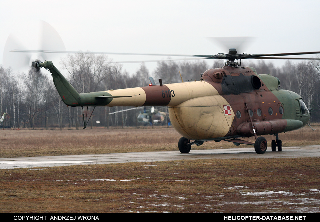 Mi-8MTV-1   6103