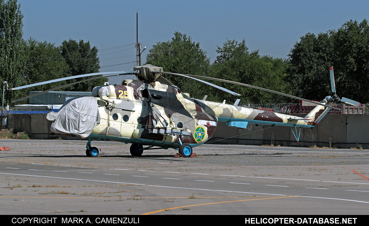 Mi-171Sh   25 yellow