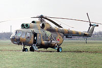 Photo&nbsp;ID:&nbsp;1137