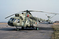 Photo&nbsp;ID:&nbsp;12229