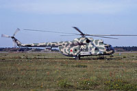 Photo&nbsp;ID:&nbsp;12231