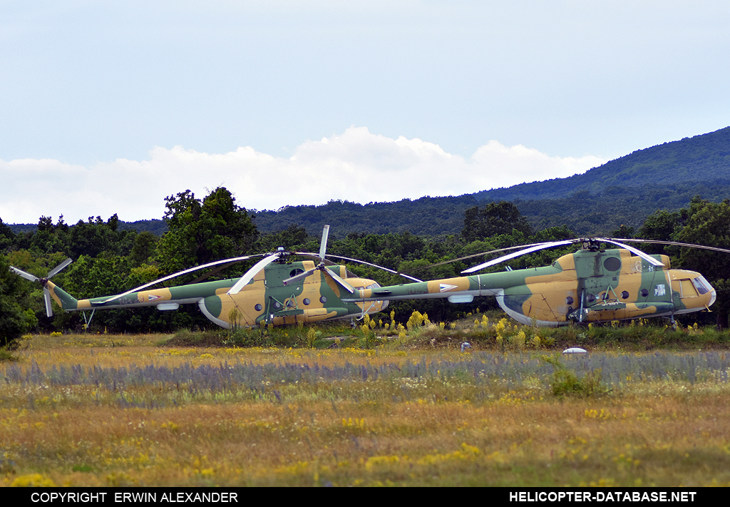 Mi-8T   10429