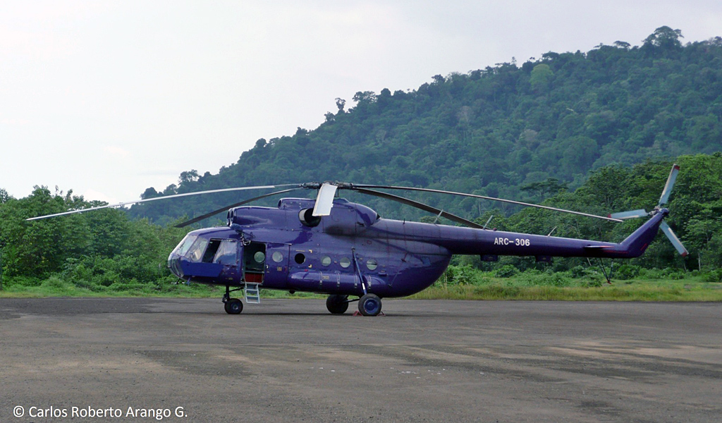 Mi-8T   ARC-306