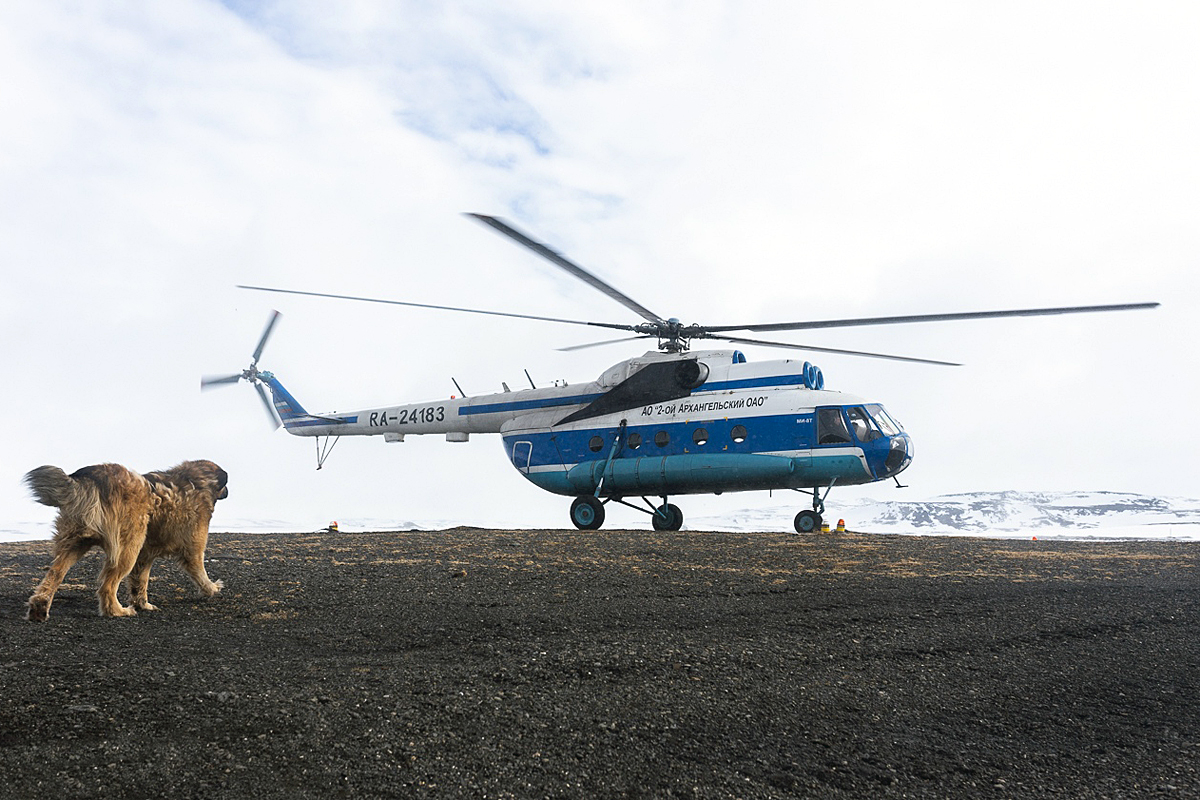 Mi-8T   RA-24183