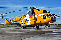 RA-24431,Mi-8T