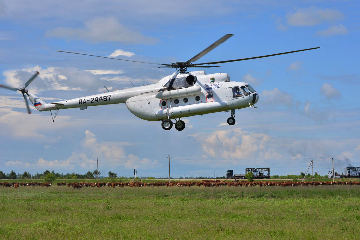 Mi-8T   RA-24487