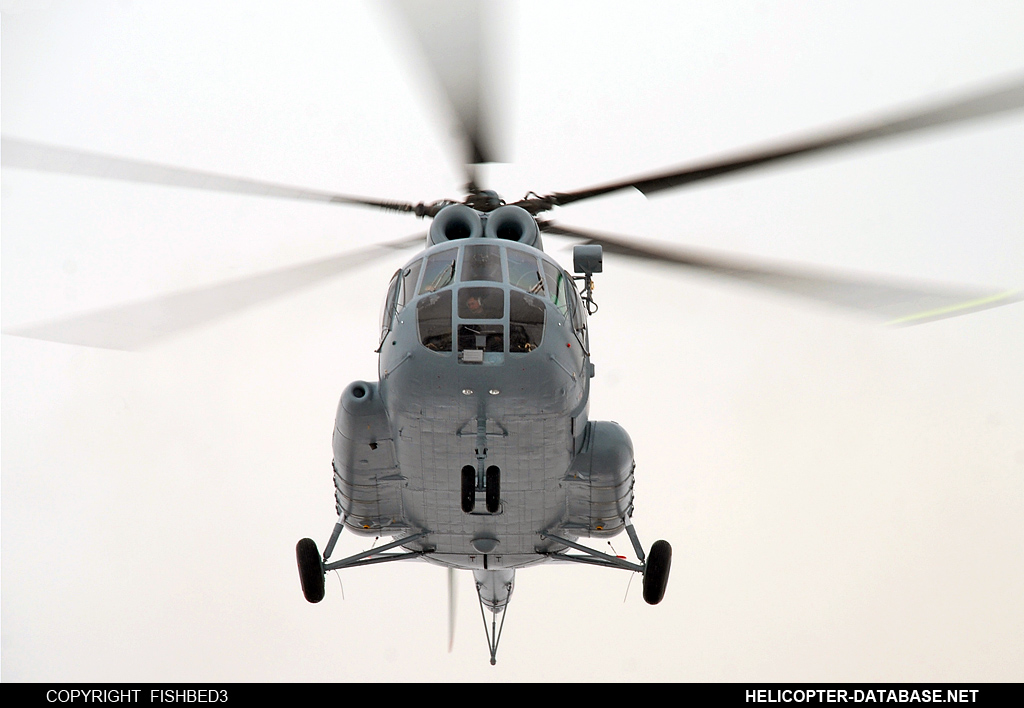 Mi-8T   RF-28965