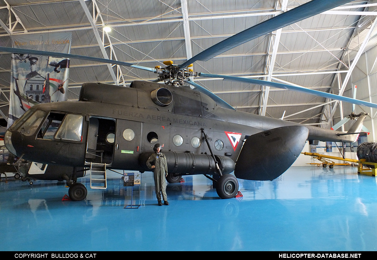 Mi-8T   1810