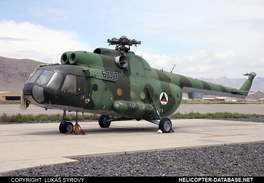 Mi-8T&nbsp;&nbsp;&nbsp;607
